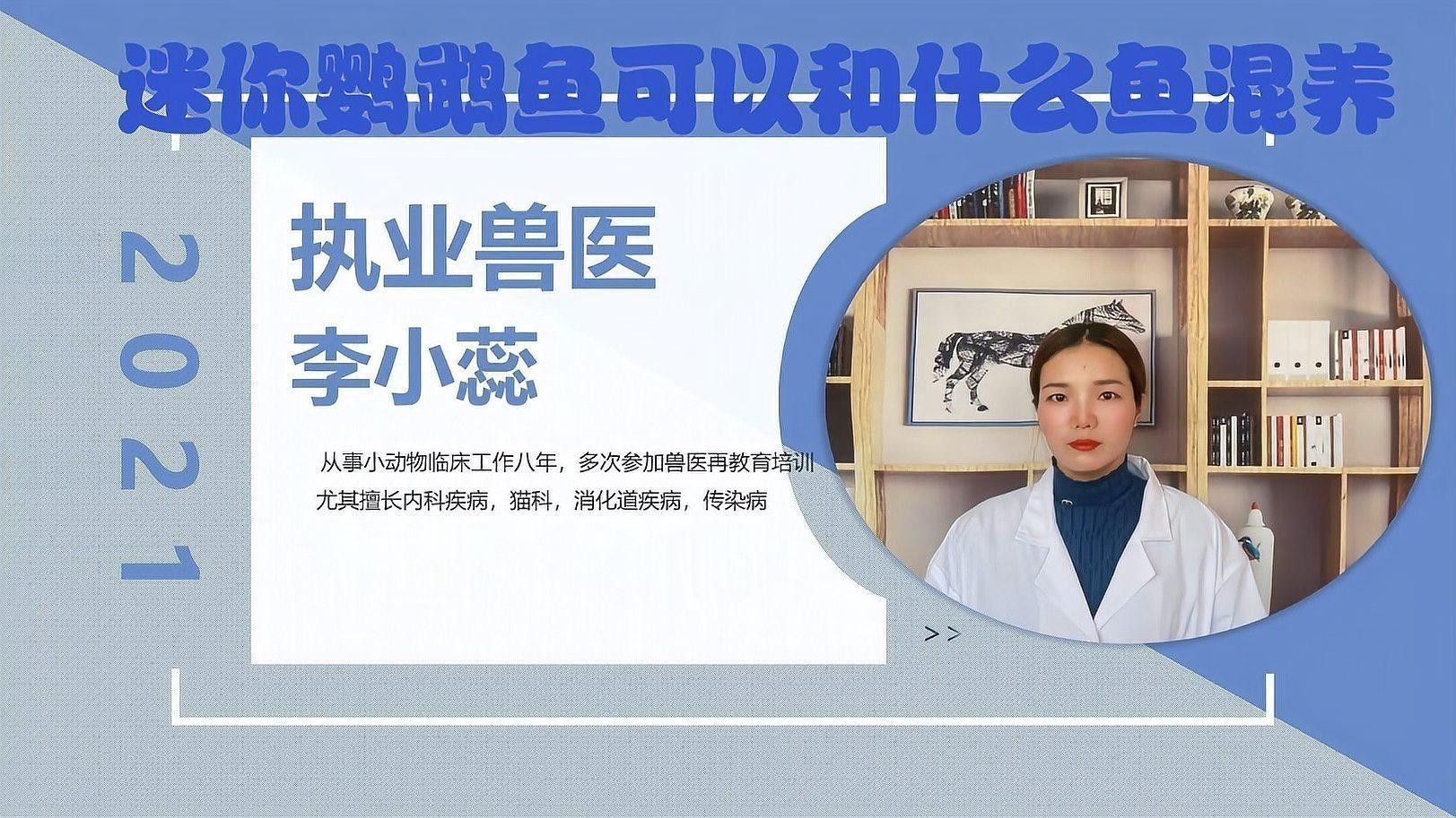 曼龍魚和迷你鸚鵡魚能混養嗎？（曼龍魚可以和迷你鸚鵡魚混養嗎）