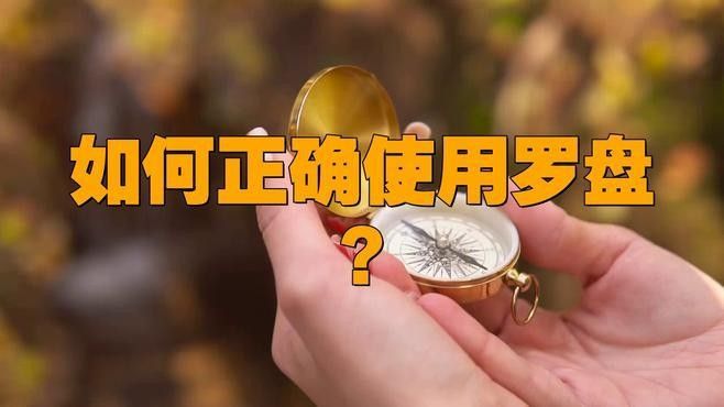 哪款尋龍軟件適合初學(xué)者 哪款尋龍軟件適合初學(xué)者 龍魚百科 第13張