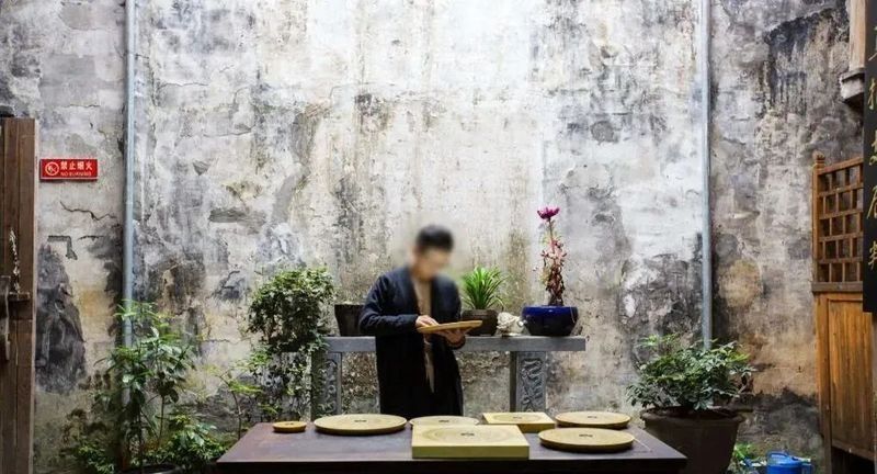 哪款尋龍軟件適合初學(xué)者 哪款尋龍軟件適合初學(xué)者 龍魚百科 第8張