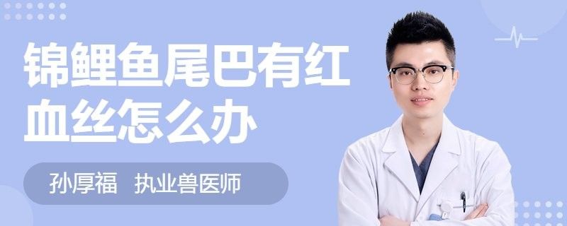 金龍魚(yú)尾巴長(zhǎng)紅點(diǎn)會(huì)傳染嗎？（金龍魚(yú)尾巴長(zhǎng)紅點(diǎn)是否會(huì)傳染）