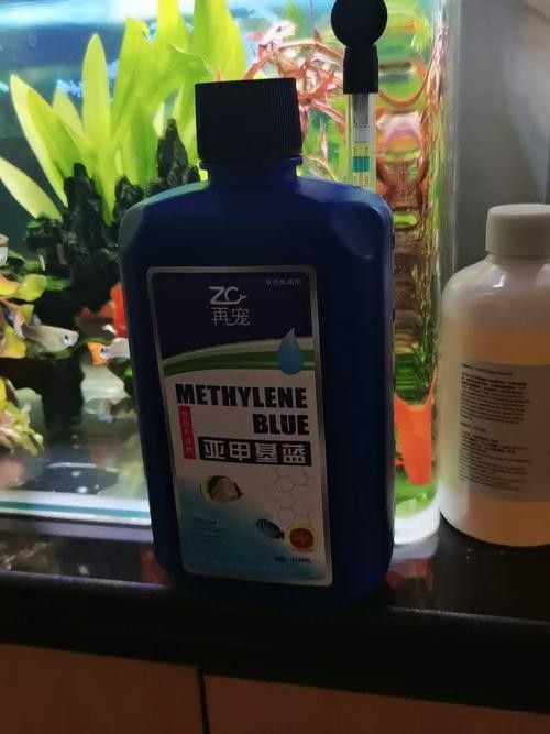 有哪些硝化細菌制劑推薦？（化細菌制劑是一種用于處理污水和廢水的生物處理方法）