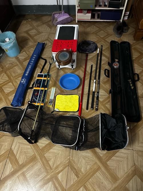 如何鑒別龍魚品質（如何挑選一條品質優質的龍魚）