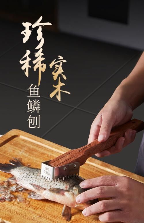 如何鑒別龍魚品質（如何挑選一條品質優質的龍魚）