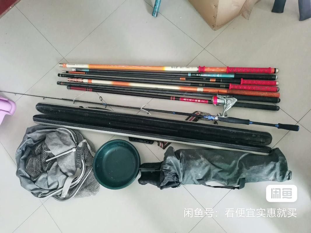 如何鑒別龍魚品質（如何挑選一條品質優質的龍魚）