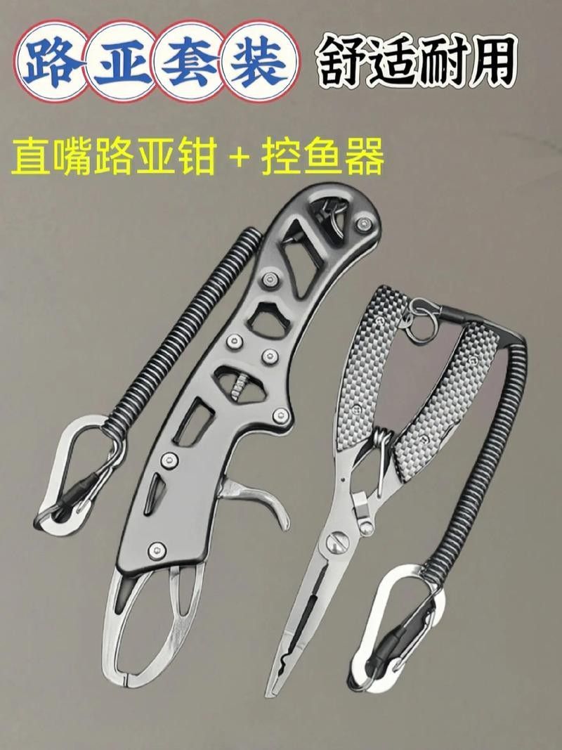 如何鑒別龍魚品質（如何挑選一條品質優質的龍魚）