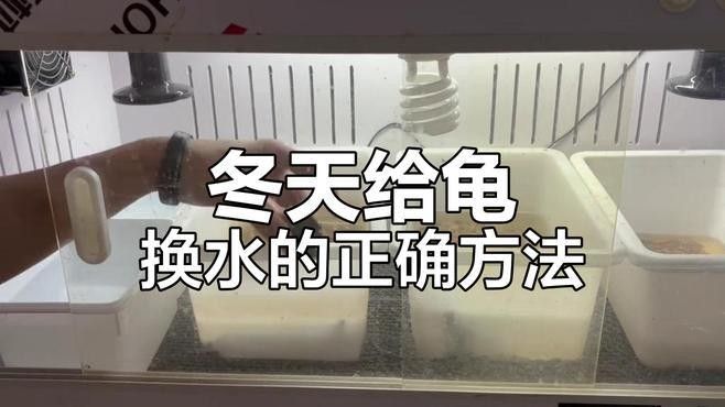 冬天換水時(shí)如何控制溫差（養(yǎng)魚說冬季孔雀魚換水技巧,避免溫差過大下個(gè)路口見）