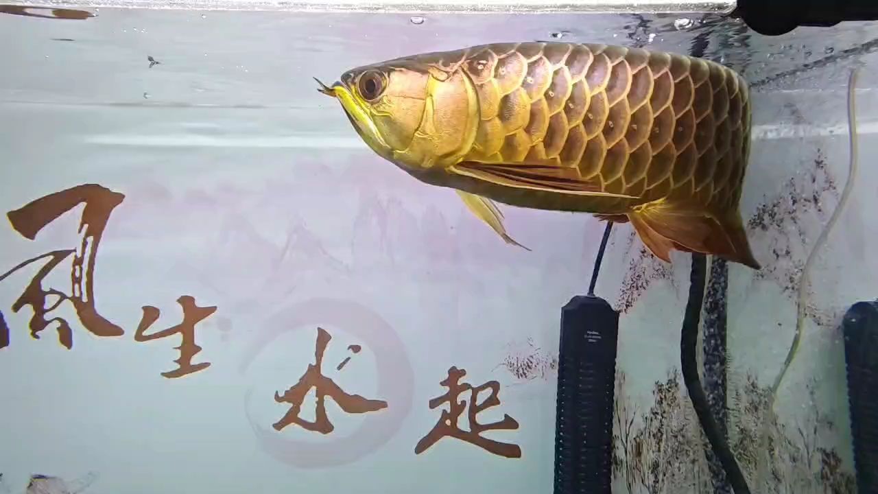 7年了啊（7年了啊，在時間的長河中，七年如同一段旅程的里程碑）