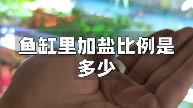 龍魚趴缸需要加鹽嗎（怪味胡豆子,龍魚趴缸別著急,這三種情況先了解一下!可為漁業） 龍魚趴缸需要加鹽嗎（怪味胡豆子,龍魚趴缸別著急,這三種情況先了解一下!可為漁業） 龍魚百科 第5張