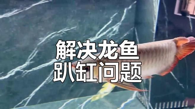 龍魚趴缸需要加鹽嗎（怪味胡豆子,龍魚趴缸別著急,這三種情況先了解一下!可為漁業） 龍魚趴缸需要加鹽嗎（怪味胡豆子,龍魚趴缸別著急,這三種情況先了解一下!可為漁業） 龍魚百科 第4張