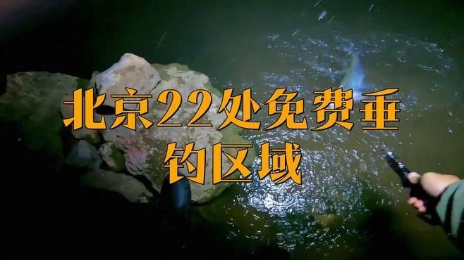 如何選擇合適的釣點？（北京野釣最佳地點）