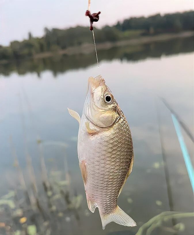 如何選擇合適的釣點？（北京野釣最佳地點）