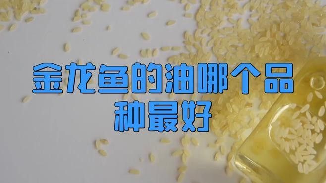 金龍魚食品油有哪些主打產品（湛影俠全面解析金龍魚的油哪個品種最好） 金龍魚食品油有哪些主打產品（湛影俠全面解析金龍魚的油哪個品種最好） 龍魚百科 第6張
