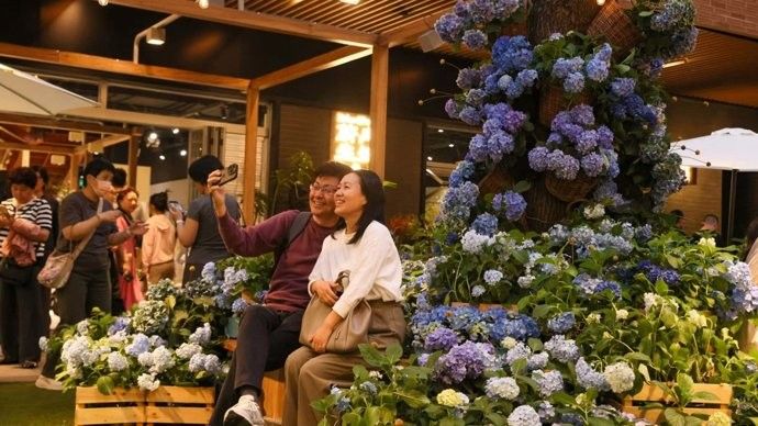 花地灣藝和花鳥魚蟲市場搬遷后，有哪些新增商戶？