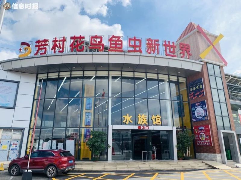花地灣藝和花鳥魚蟲市場搬遷后，有哪些新增商戶？