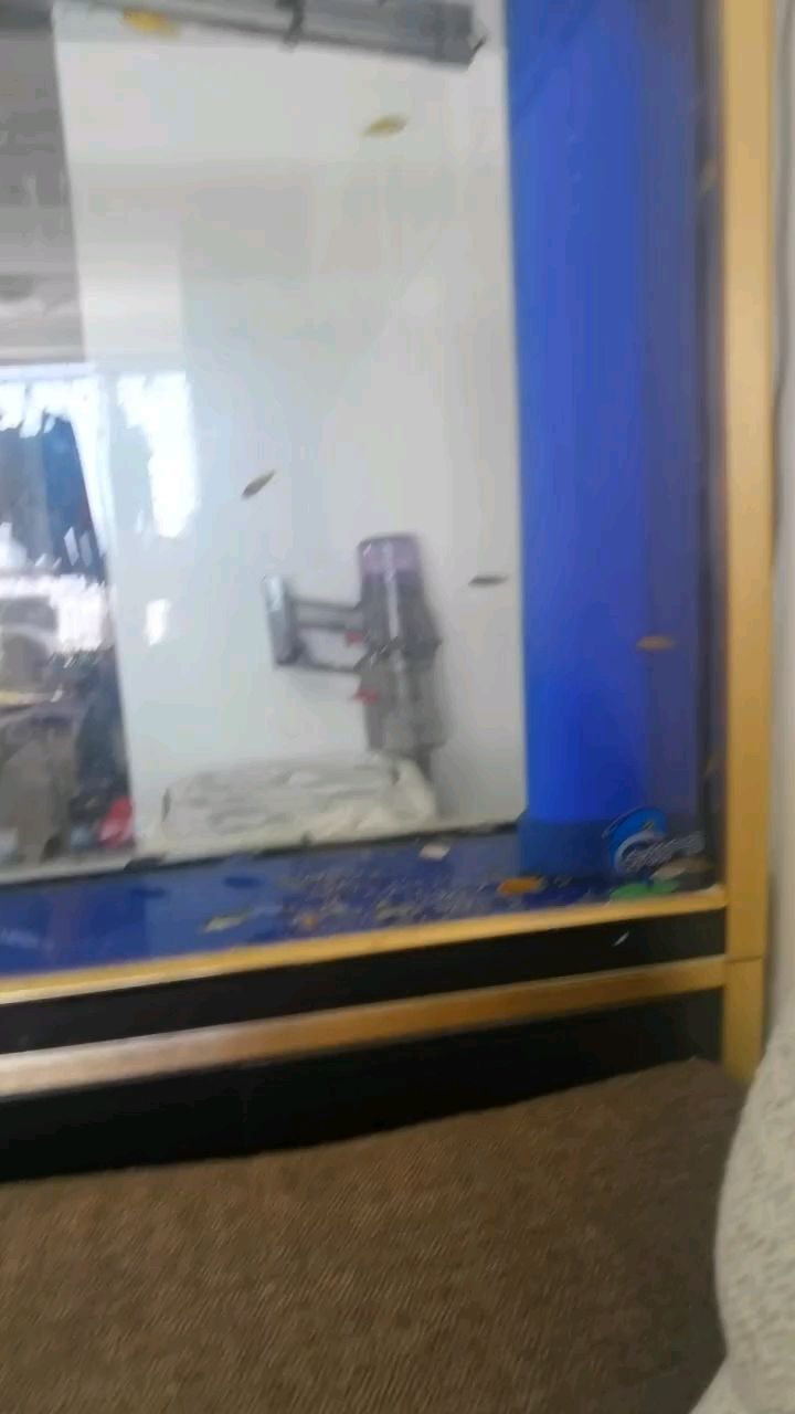魚缸過濾器選購指南:自制魚缸過濾器魚缸上置過濾器對于養魚愛好者的必備知識 開缸后小魚第一次進食(開缸后小魚的第一次進食) 龍魚論壇 開缸后小魚第一次進食(開缸后小魚的第一次進食) 開缸后小魚第一次進食(開缸后小魚的第一次進食) 龍魚論壇
