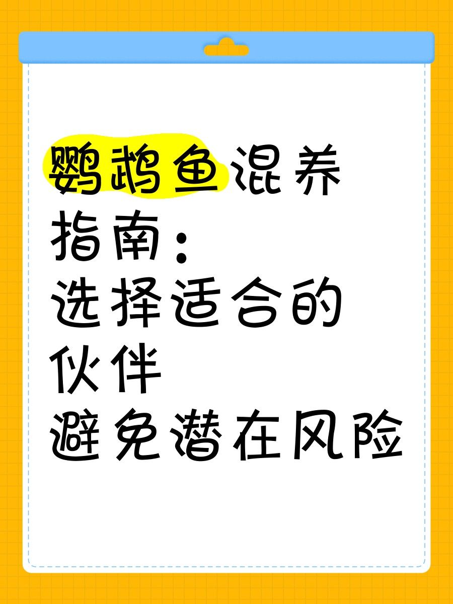 金龍魚在缸底不動是什么原因紅龍魚在缸底不動是什么原因，紅龍魚一直在缸底不動是什么原因