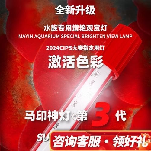 紅龍魚增色燈哪個型號最好 紅龍魚增色燈哪個型號最好 龍魚百科 第9張