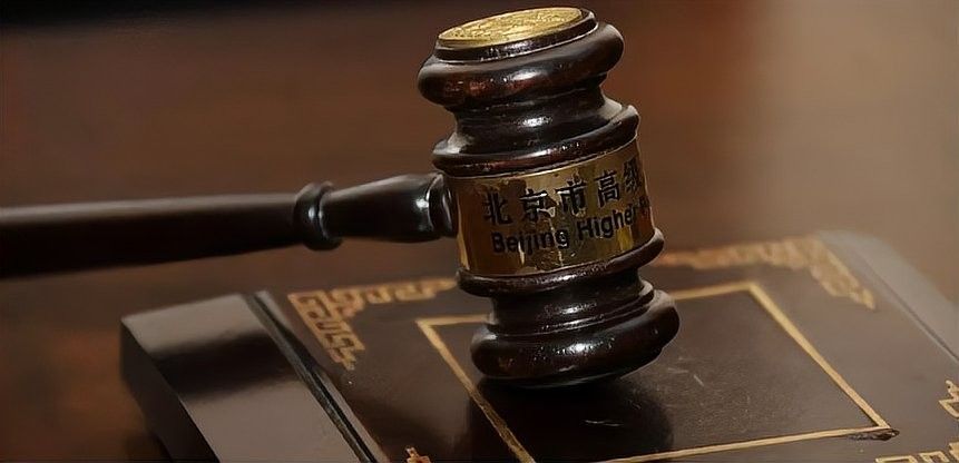 金龍魚高清圖片版權問題（關于金龍魚高清圖片版權問題的建議）