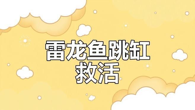 雷龍魚離水后如何急救？ 雷龍魚離水后如何急救？ 龍魚百科 第2張