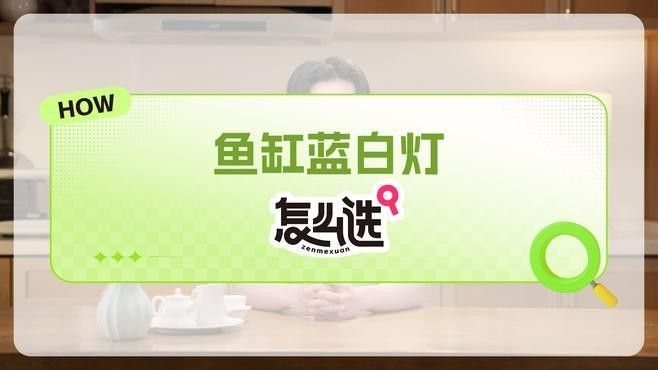 推薦幾款適合金龍魚的藍白燈 推薦幾款適合金龍魚的藍白燈 龍魚百科 第5張