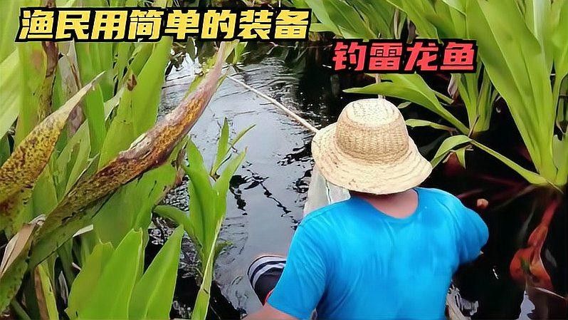 龍魚釣魚比賽如何準(zhǔn)備？