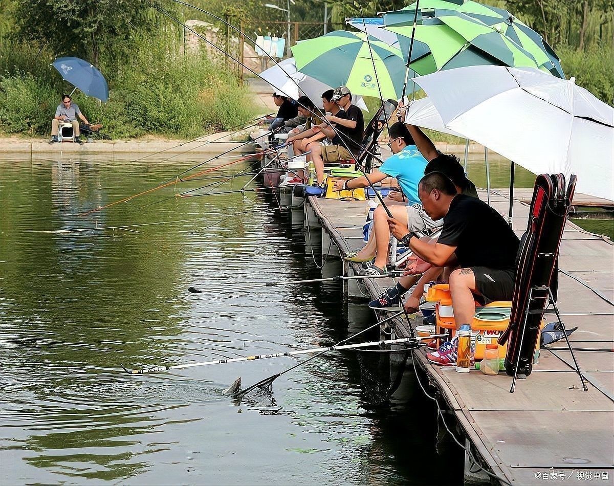龍魚釣魚比賽如何準(zhǔn)備？