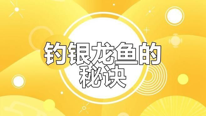 龍魚釣魚比賽如何準(zhǔn)備？