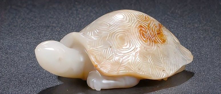龍龜佩戴后多久凈化一次 龍龜佩戴后多久凈化一次 龍魚百科 第1張