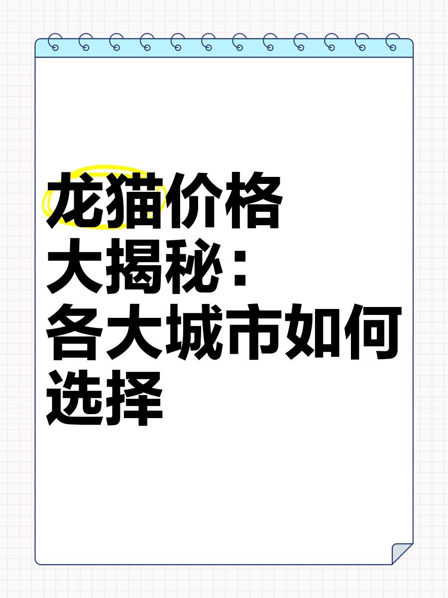 白色龍貓的價格是多少（白色龍貓多少錢一只）