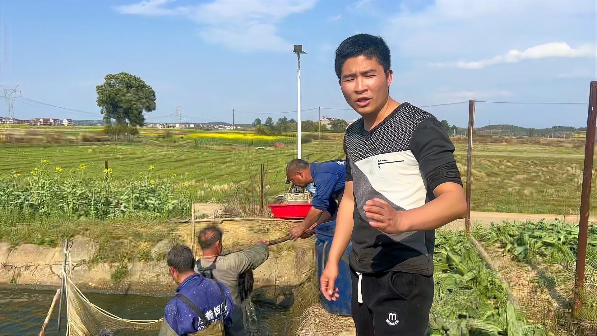 大青龍魚苗的飼養難度大嗎？（大青龍魚苗的飼養難度如何？） 大青龍魚苗的飼養難度大嗎？（大青龍魚苗的飼養難度如何？） 龍魚百科 第11張