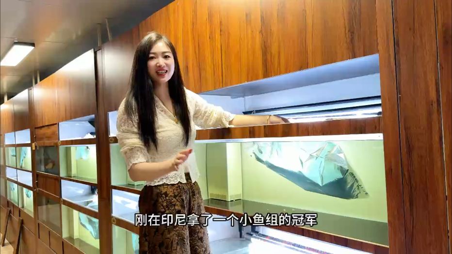 8條印尼獲獎??紅龍魚回國！ 為迎接2025長城杯世界龍魚錦標賽，萬隆天王總部300+W天花板紅龍鋪滿展廳！ 屆時歡迎全國的龍魚愛好者們蒞臨現場參觀、交流?? #萬隆天王紅龍 #龍魚 #紅龍 #觀賞魚
