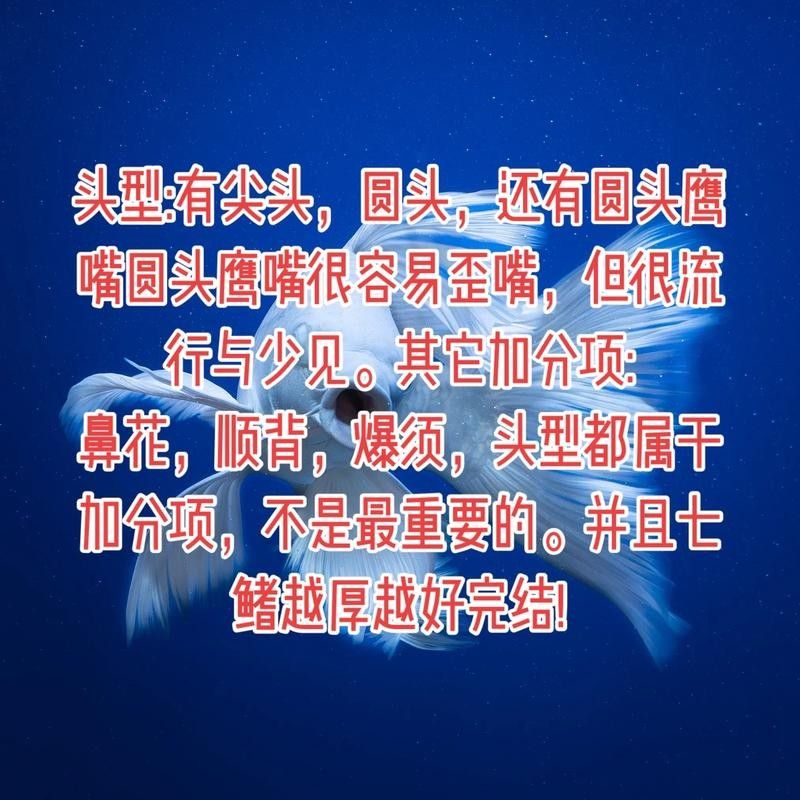 如何判斷蝴蝶鯉的品相？（判斷蝴蝶鯉品相的好壞，從以下幾個方面進行，）