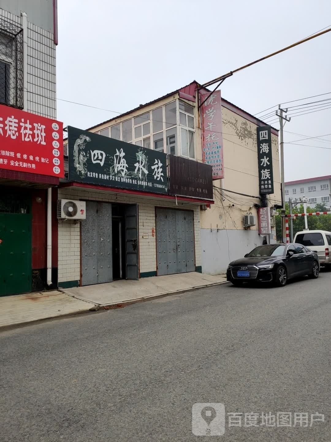 大城哪個水族館龍魚好？祥龍魚場龍魚（大城哪個水族館祥龍魚場）