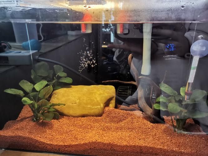 紅龍魚缸底砂選擇推薦（紅龍魚缸底砂什么沙子最好時間駭客mpp魚缸砂底品牌排行榜）