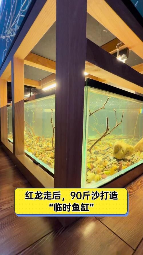 紅龍魚缸底砂選擇推薦（紅龍魚缸底砂什么沙子最好時間駭客mpp魚缸砂底品牌排行榜）