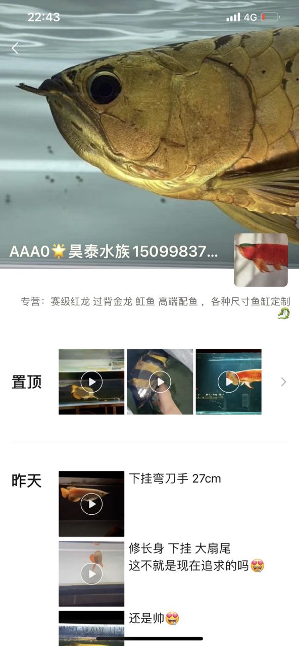 可笑!(“可笑”一詞在當代社會中的多維表現及其影響) 龍魚論壇 第1張 可笑!(“可笑”一詞在當代社會中的多維表現及其影響) 可笑!(“可笑”一詞在當代社會中的多維表現及其影響) 龍魚論壇 第1張