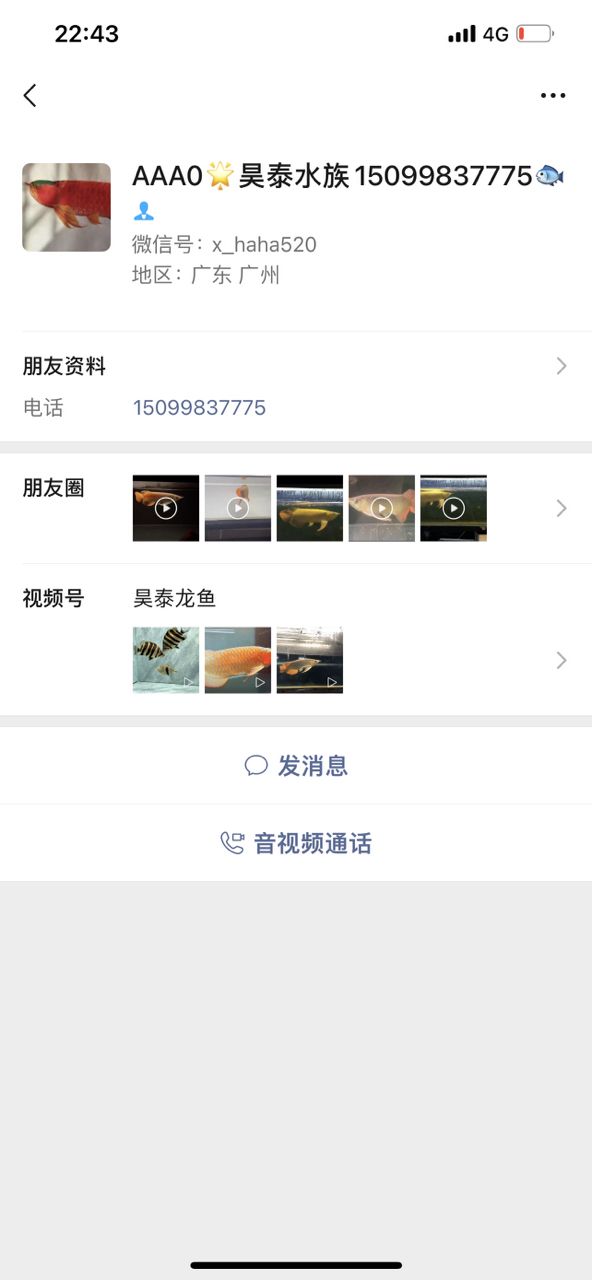 可笑!(“可笑”一詞在當代社會中的多維表現及其影響) 龍魚論壇 第2張 可笑!(“可笑”一詞在當代社會中的多維表現及其影響) 可笑!(“可笑”一詞在當代社會中的多維表現及其影響) 龍魚論壇 第2張