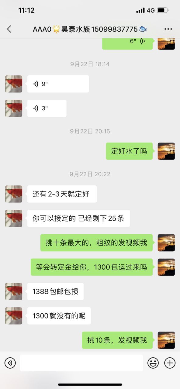 可笑!(“可笑”一詞在當代社會中的多維表現及其影響) 龍魚論壇 第4張 可笑!(“可笑”一詞在當代社會中的多維表現及其影響) 可笑!(“可笑”一詞在當代社會中的多維表現及其影響) 龍魚論壇 第4張
