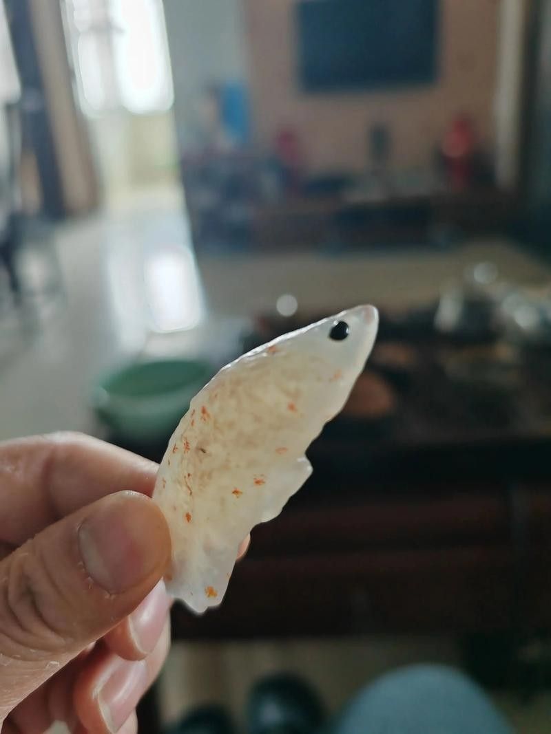 金龍魚在高溫下會有什么反應（金龍魚在高溫環境下會表現出一系列生理和行為上的變化）