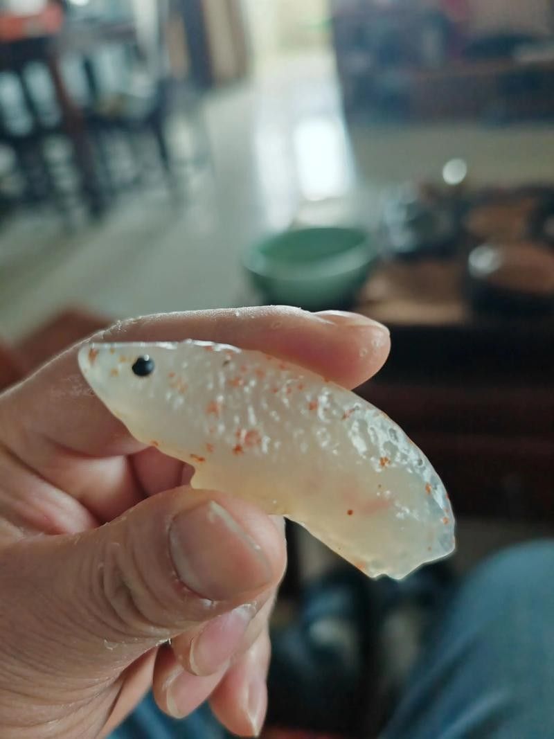 金龍魚在高溫下會有什么反應（金龍魚在高溫環境下會表現出一系列生理和行為上的變化）