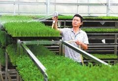 石家莊龍魚場電話地址查詢結果（河北石家莊龍魚場電話地址查詢結果） 石家莊龍魚場電話地址查詢結果（河北石家莊龍魚場電話地址查詢結果） 龍魚百科 第2張