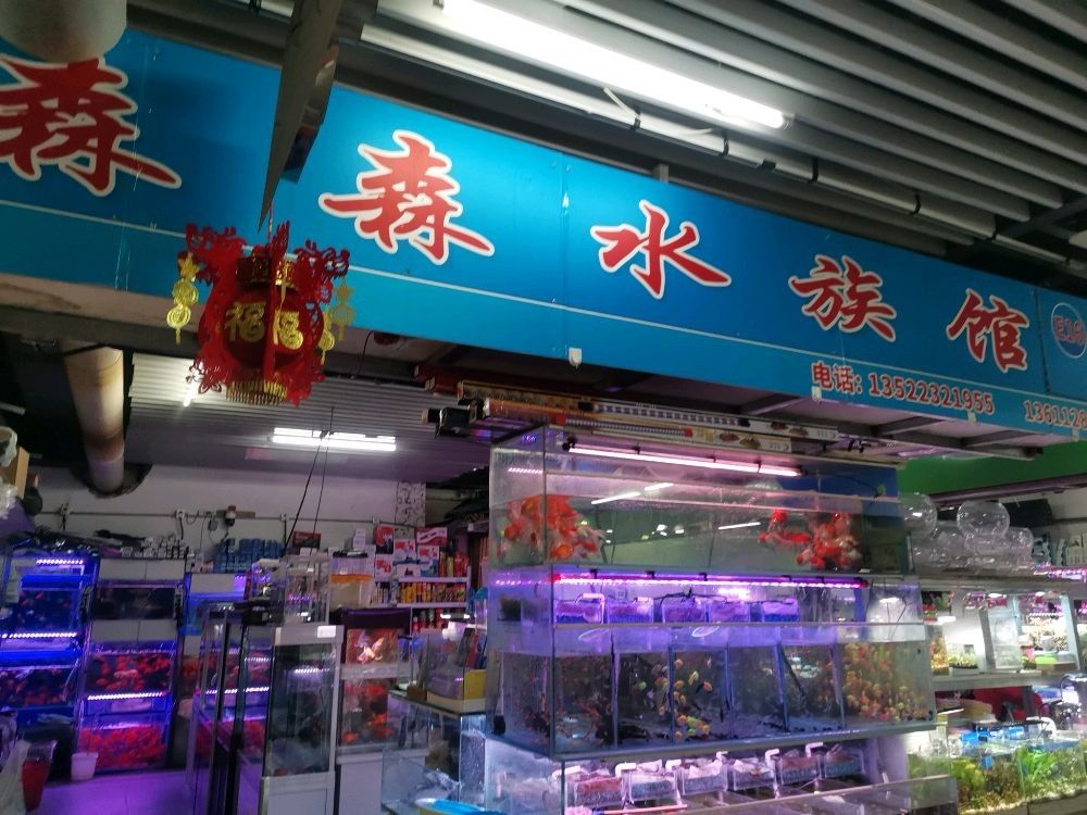 木里哪個水族館龍魚好？祥龍魚場龍魚（北京市內與龍魚相關的水族館及魚場情況）
