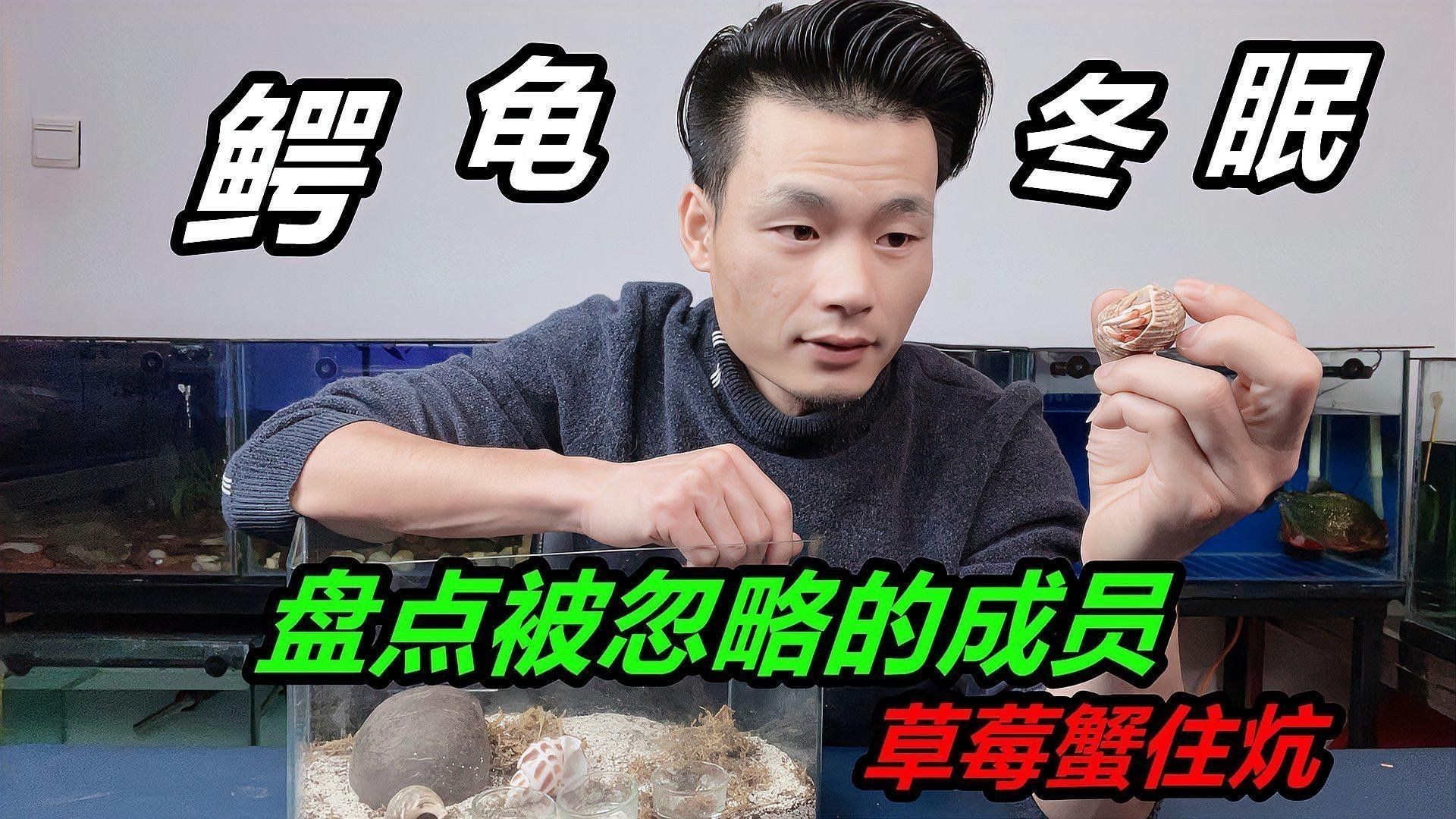 恐龍魚靜止不動是冬眠嗎（六角恐龍魚的冬眠）
