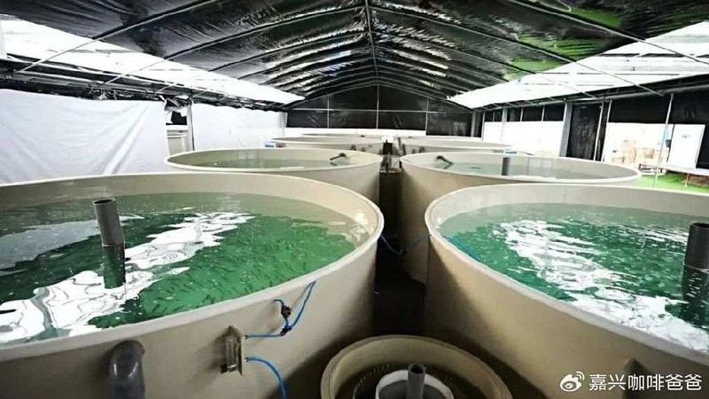 嘉興還有哪些高端水產養殖場？（嘉興高端水產養殖場）