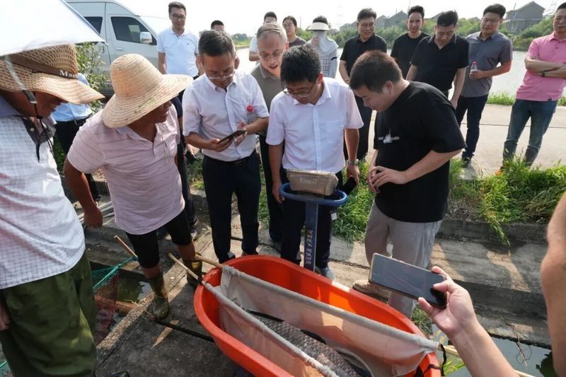 嘉興還有哪些高端水產養殖場？（嘉興高端水產養殖場）