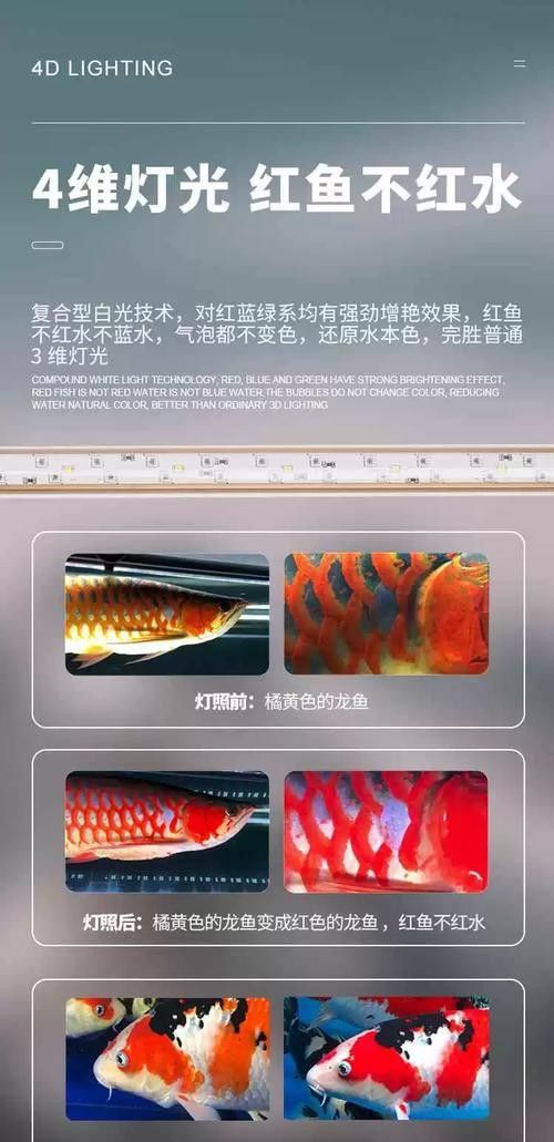 哪種品牌的龍魚燈比較好？（京東龍魚水族燈品牌排行榜京東龍魚水族燈品牌排行榜）
