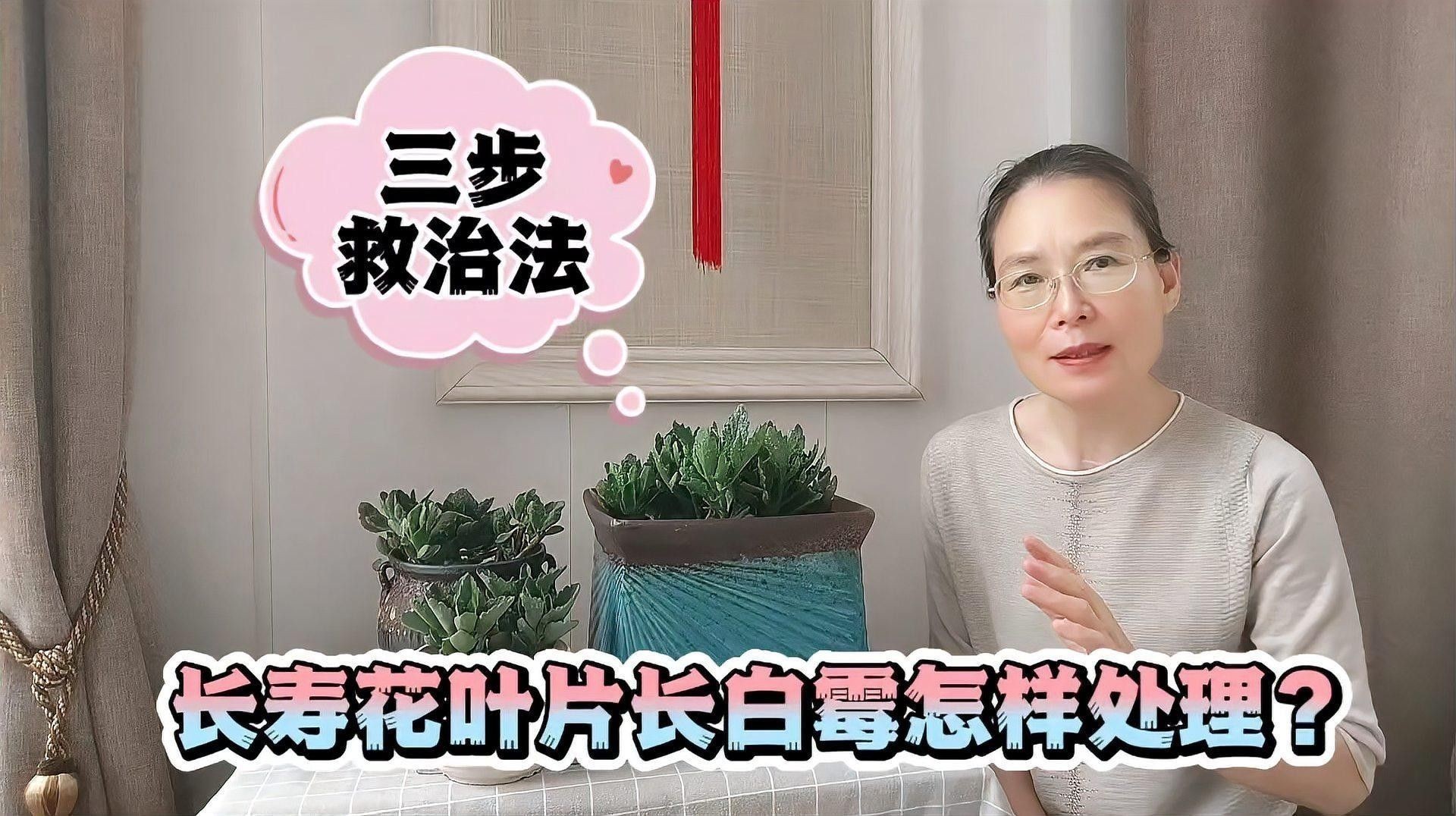 白霉病會自愈嗎？（白霉病會自愈嗎）