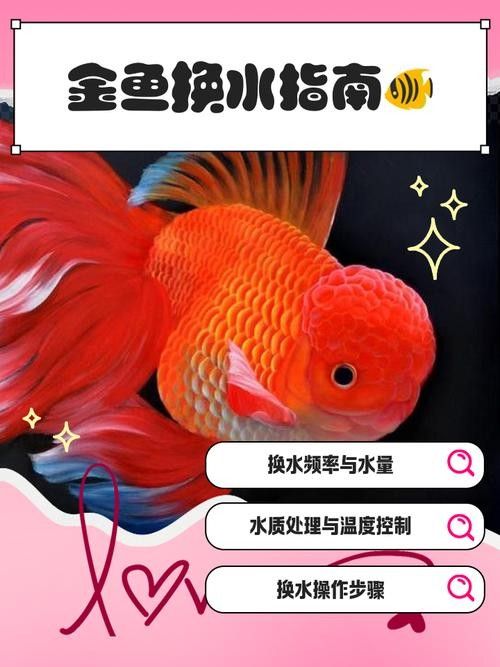 金龍魚多久換一次水？（養金龍魚多久換一次水最好金龍魚多久換一次水最好）