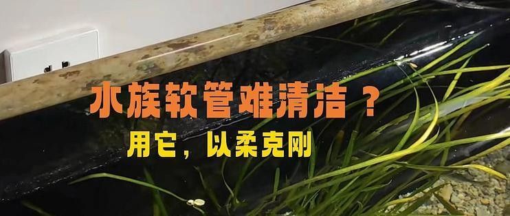 如何清洗西龍魚缸的管道（如何清洗西龍魚缸管道？）