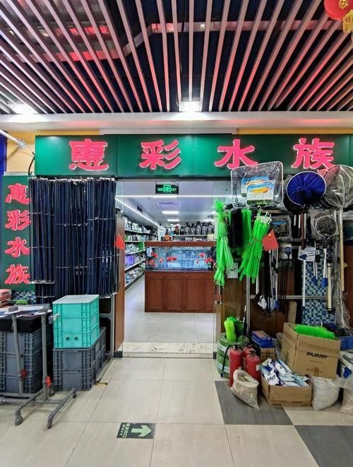 花地灣百藝城龍魚價(jià)格如何（地灣百藝城龍魚價(jià)格）